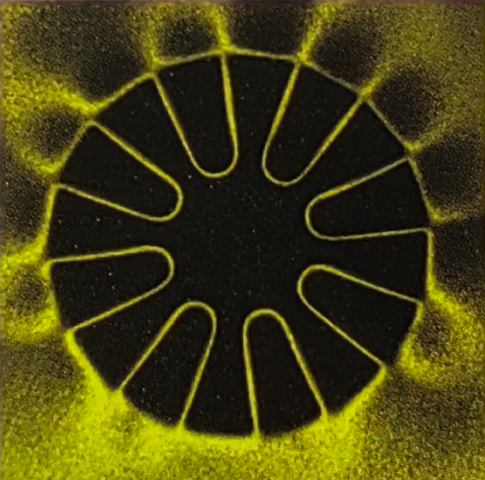 neomettech multipole Neodymium magnet